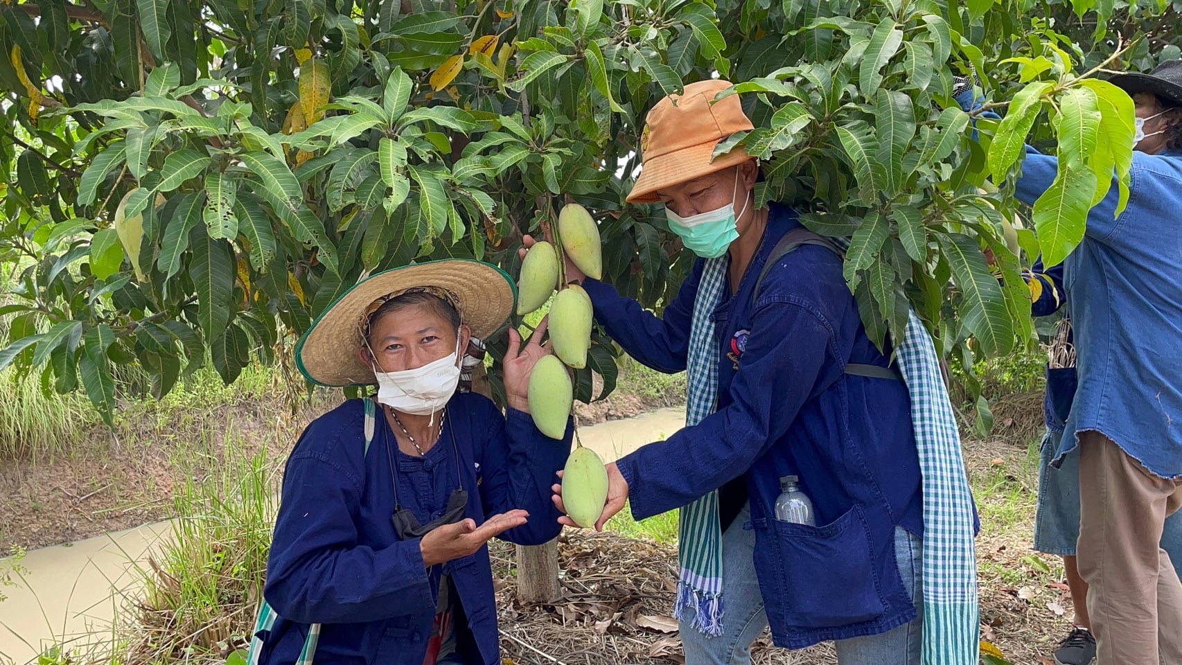 พช กำแพงเพชร และคณะกรรมการเครือข่ายโคก หนอง นา ระดับจังหวัด ร่วม  เอามื้อสามัคคี  ” โคก หนอง นา ” อำเภอขาณุวรลักษบุรี
