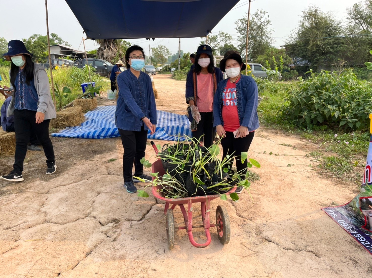 พช กำแพงเพชร และคณะกรรมการเครือข่ายโคก หนอง นา ระดับจังหวัด ร่วม  เอามื้อสามัคคี  ” โคก หนอง นา ” อำเภอคลองขลุง