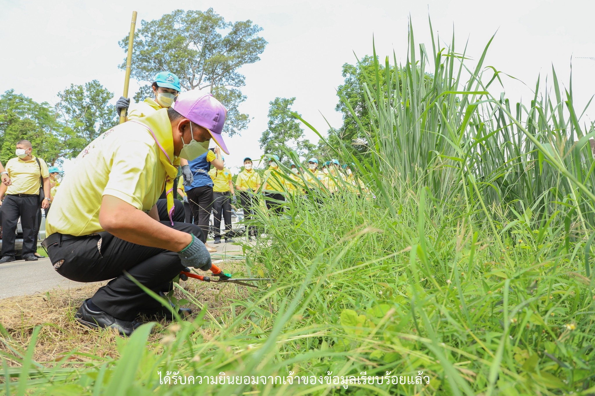 พช.กำแพงเพชร ร่วมกิจกรรมจิตอาสาเฉลิมพระเกียรติสมเด็จพระนางเจ้าฯ พระบรมราชินี 3 มิถุนายน 2565