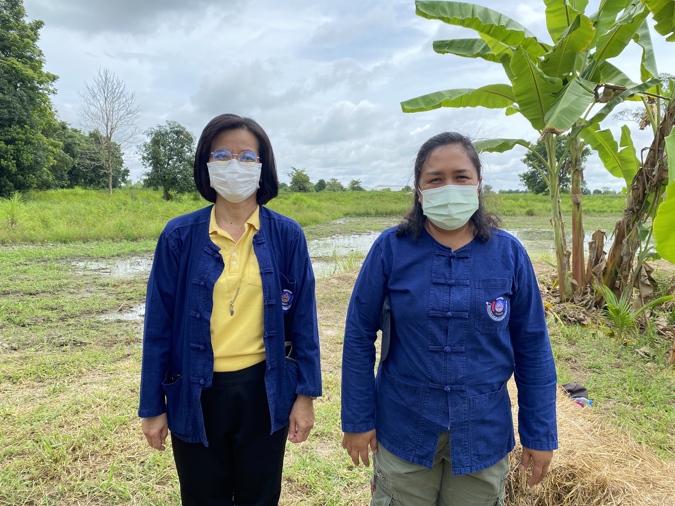 พช กำแพงเพชร และคณะกรรมการเครือข่ายโคก หนอง นา ระดับจังหวัด ร่วมเอามื้อสามัคคี  ” โคก หนอง นา ” อำเภอปางศิลาทอง