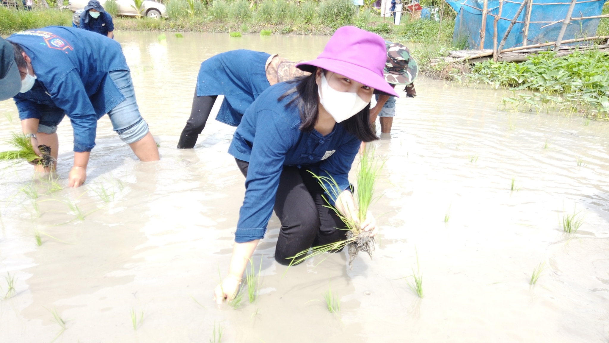 พช.กำแพงเพชร และคณะกรรมการเครือข่ายโคก หนอง นา ระดับจังหวัด ร่วมจัดกิจกรรมเอามื้อสามัคคี “ร่วมมือ ร่วมแรง ร่วมใจ พร้อมก้าวเดินไปด้วยกัน”