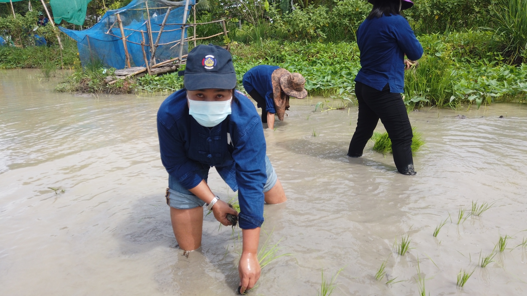 พช.กำแพงเพชร และคณะกรรมการเครือข่ายโคก หนอง นา ระดับจังหวัด ร่วมจัดกิจกรรมเอามื้อสามัคคี “ร่วมมือ ร่วมแรง ร่วมใจ พร้อมก้าวเดินไปด้วยกัน”