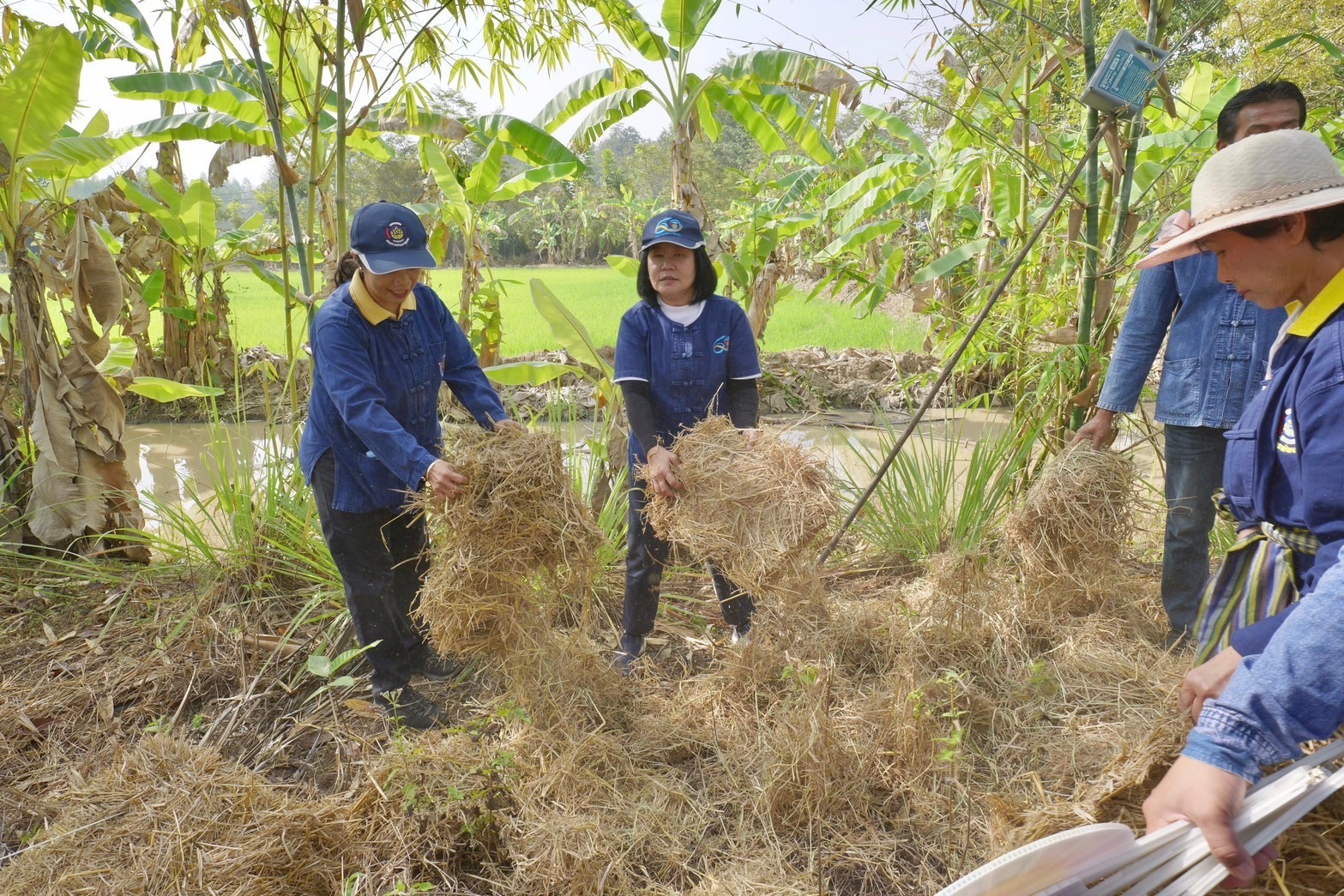 พช.กำแพงเพชร จัดกิจกรรมเอามื้อสามัคคี ทำความดีถวายเป็นพระราชกุศล และกิจกรรมวันดินโลก ระดับจังหวัด ประจำเดือนมกราคม 2568