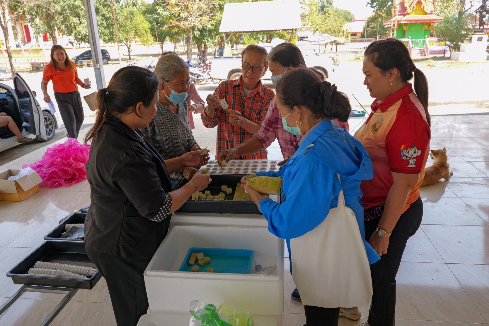 พช.กำแพงเพชร ร่วมโครงการฝึกอบรมเพิ่มทักษะอาชีพ ประจำปีงบประมาณ พ.ศ. 2568 โดยองค์การบริหารส่วนตำบลวังบัว ร่วมกับ สำนักงานพัฒนาชุมชนจังหวัดกำแพงเพชร